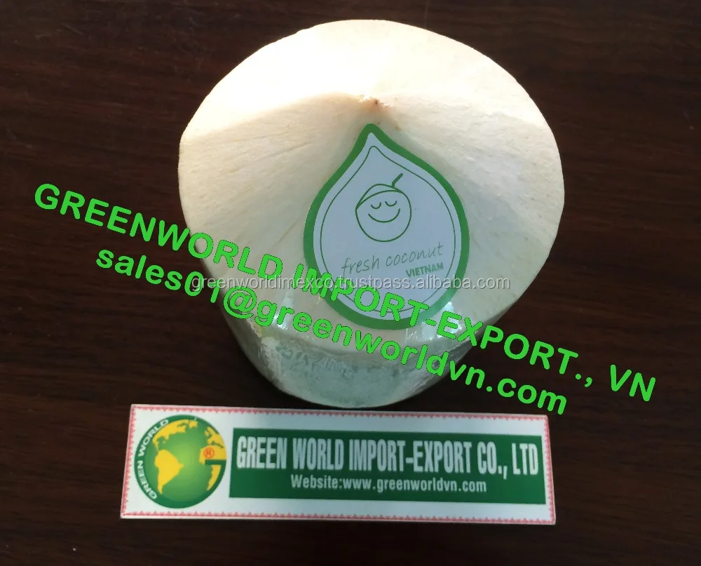 High Quality Young Coconut Vietnam Fresh Tropical COCONUT Sweet Young Fruit Water Drinking Whole Premium Quality Good Price