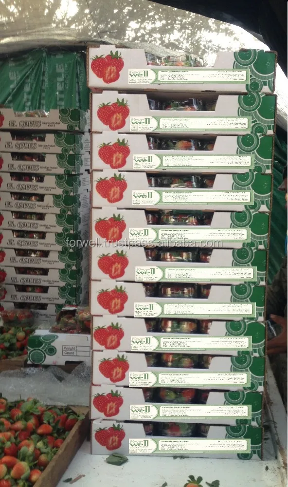  Свежая клубника высокого качества