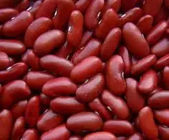 
High quality Red Kidney Bean from Vietnam with best price for sale 