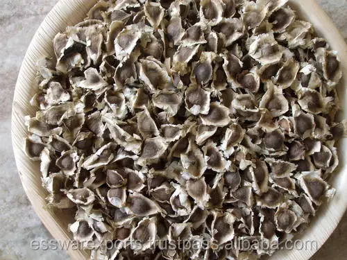 
buy pkm1 moringa seeds from india 