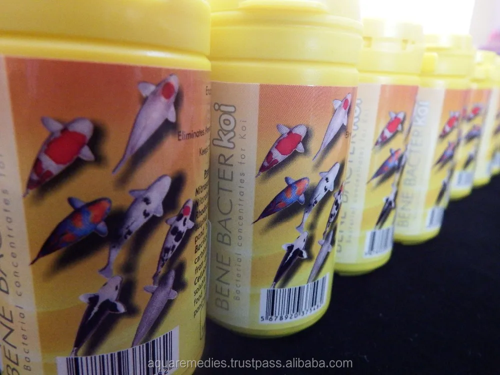 Eliminates Ammonia, Nitrite and Hydrogen sulphide / Beneficial Bacteria - BENEBACTER for aquarium and aquaculture purpose