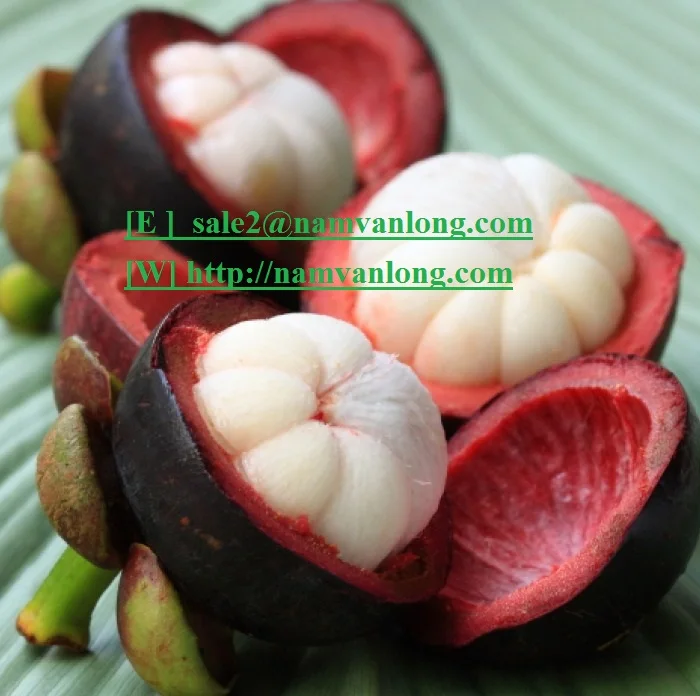
MANGOSTEEN Fruit WITH AFFORDABLE PRICE 2021 
