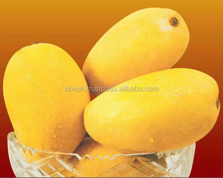 
Honey Mango 