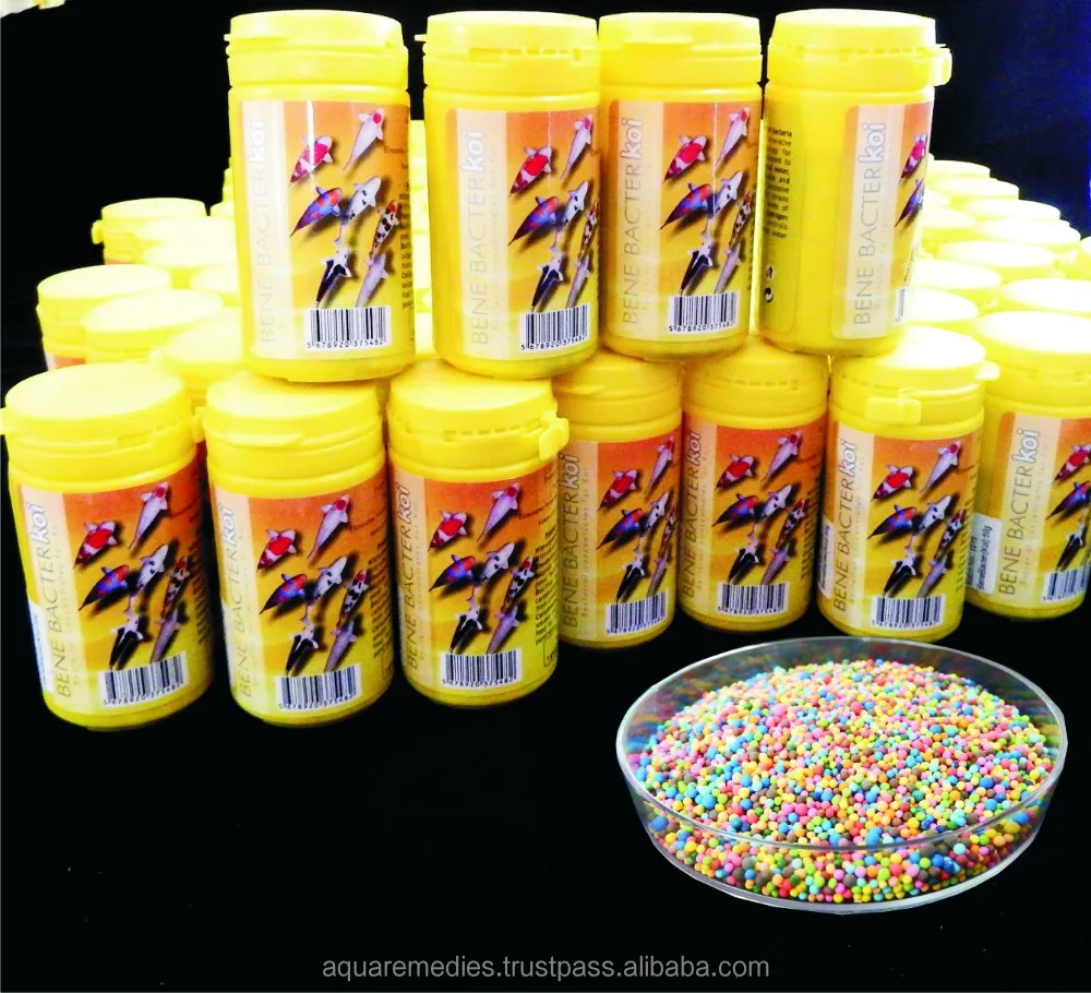 Eliminates Ammonia, Nitrite and Hydrogen sulphide / Beneficial Bacteria - BENEBACTER for aquarium and aquaculture purpose