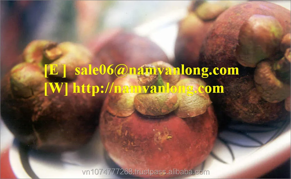 
Best quality Mangosteen with Competitive Price 