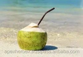 Порошок кокосовой воды, сушеный спреем, порошок кокосовой воды мгновенного действия