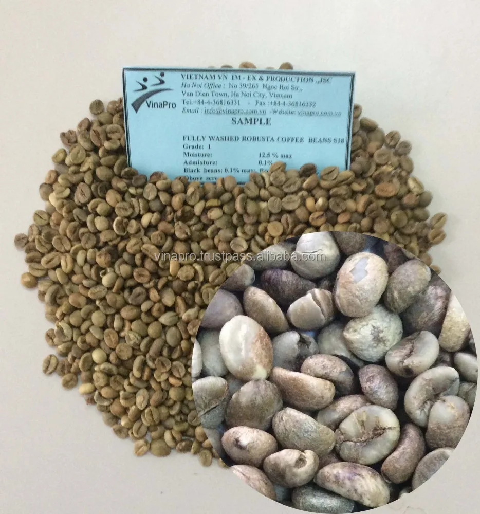 Вьетнамский производитель высококачественных зеленых кофейных зерен ROBUSTA