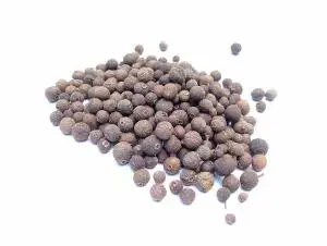 Top Quality Pimento Berry Oil Natural Essential Oil Wholesale Suppliers Free Samples for Cosmetic Raw Oils