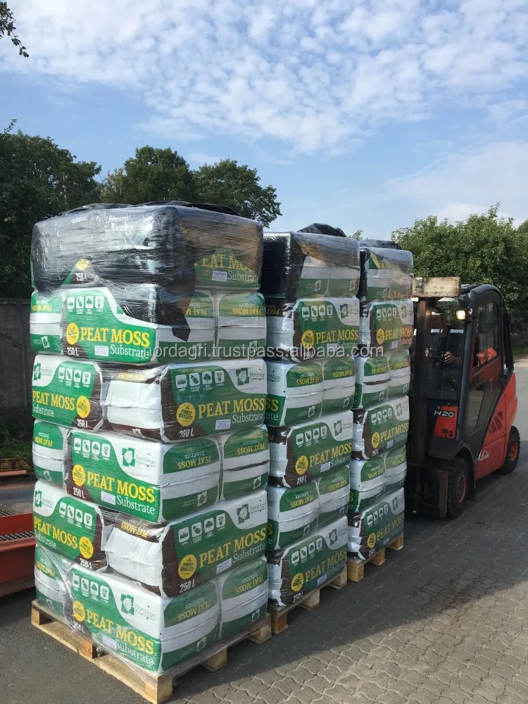 
Peat moss soil for blueberries 