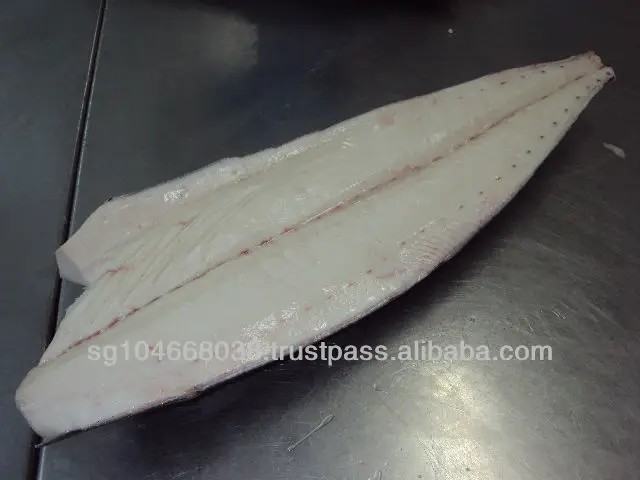 Frozen Fish Fresh Tilapia Supplier Block Bulk Style Packaging Package Weight Lbs Shelf Origin Latin Type Frozen Oilfish Fillets