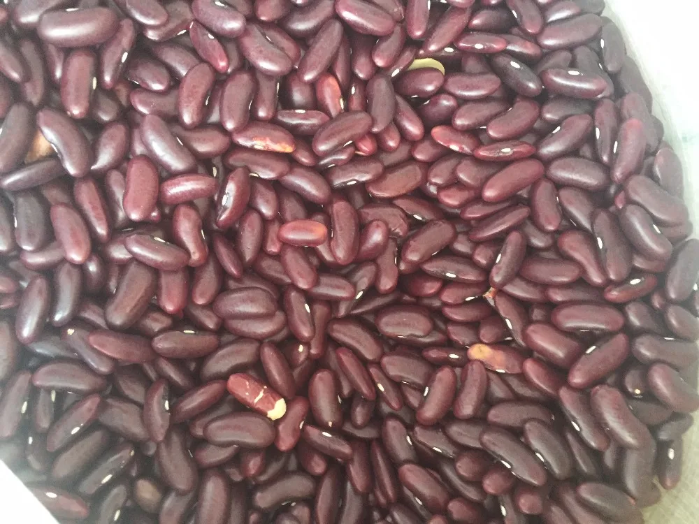 
BEST SELLING VIETNAM RED KIDNEY BEANS 