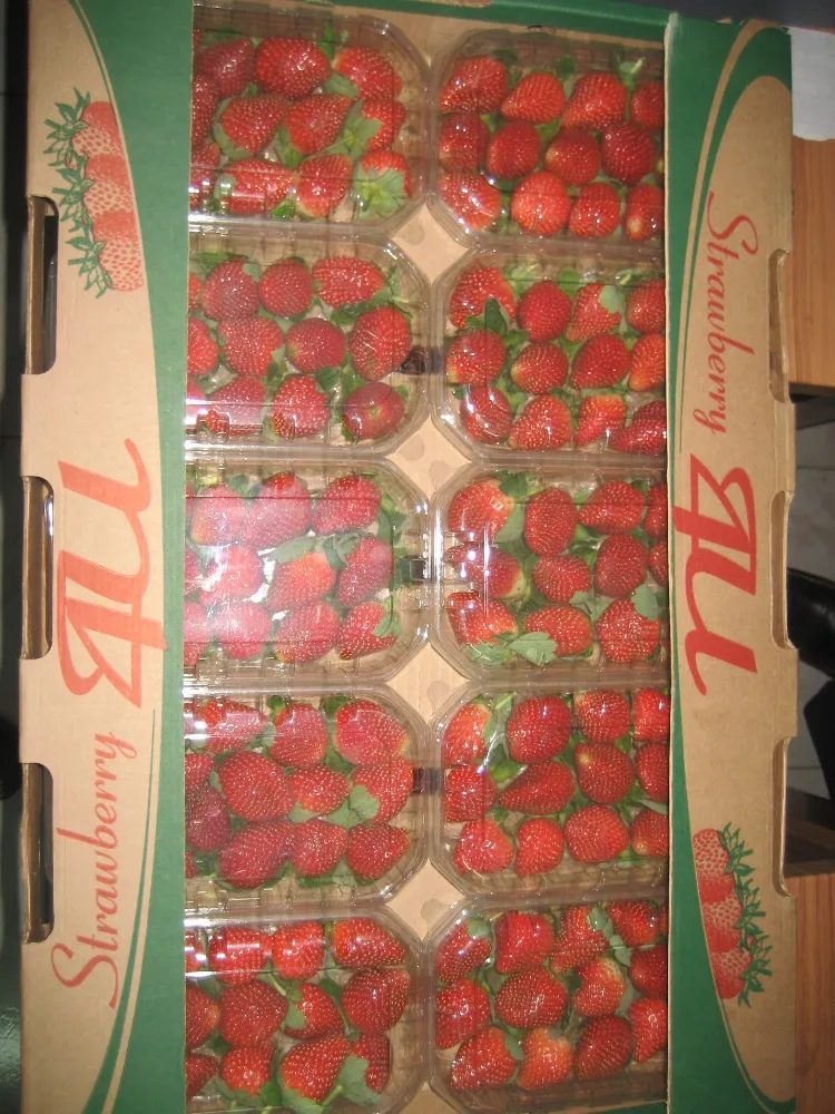 
strawberry fresh for sale 