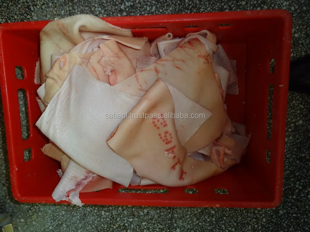 Wholesale  Bulk Clean Frozen Raw Pork Skin / Pork Rind From Poland