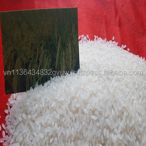 
5% BROKEN MEDIUM RICE WITH BEST SELLING 