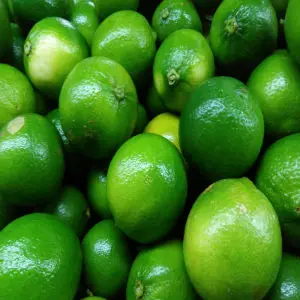 
High-quality Prices Fresh Sweet Hass Avocado from South Africa 