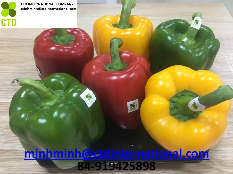 
red bell pepper from vietnam processor 