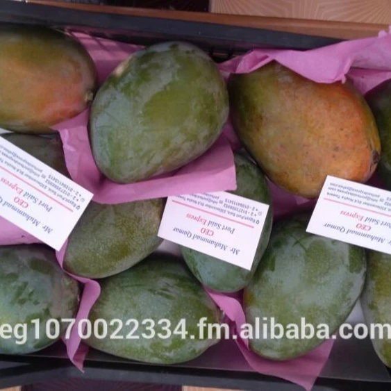 fresh mango fruit ready to export to Malta