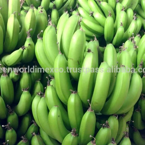 VIETNAMESE GREEN CAVENDISH BANANA WITH CHEAP PRICE