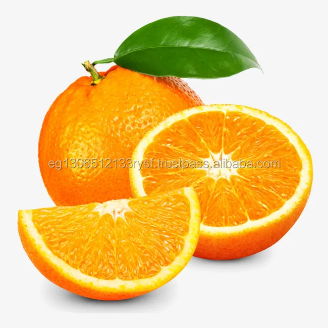 
fresh high quality orange for sale 