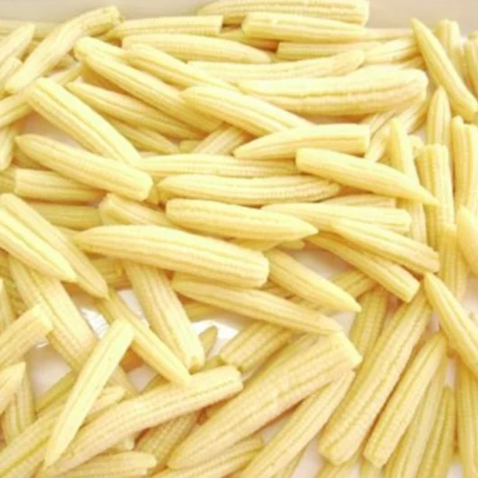 FROZEN BABY CORN WITH PREMIUM QUALITY