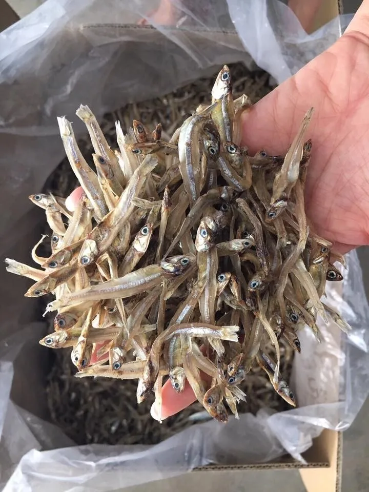 Хорошая цена сушеный анчоусы | Сушеная Рыба морепродукты вяленая ЕС