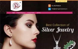 
Alibaba Homepage Design and Development Business in India 