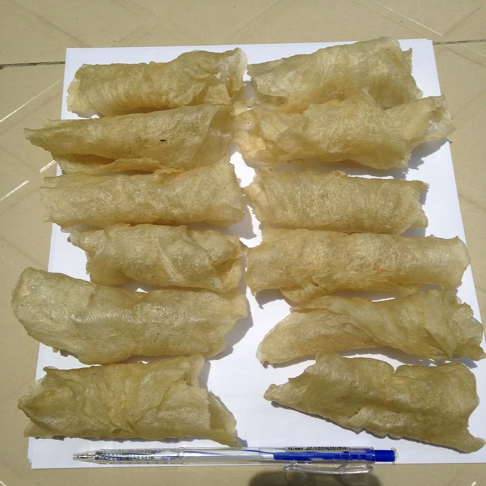 
Dry FISH MAWS TOP QUALITY ORIGIN VIETNAM Bulk Piece HACCP 