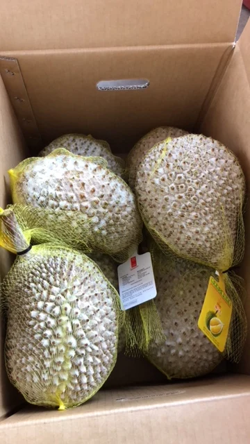 
Wholesale Malaysia Premium Whole FROZEN MUSANG KING Durian d197 