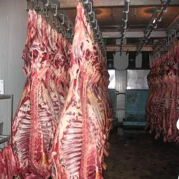 Beef Carcass , Beef Cuts, Fresh frozen quality red beef cow meat/sheep fresh meat