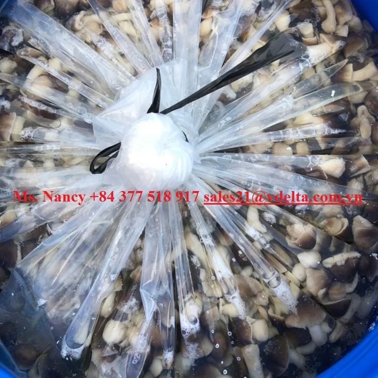 
SALTED PADDY STRAW MUSHROOM FROM VIETNAM WITH BEST PRICE // Ms.Nancy +84 377 518 917 