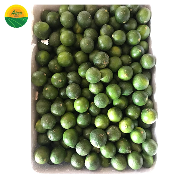 LOW PRICE - SOUR SEEDLESS LEMON FROM VIET NAM