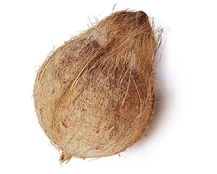 
fresh mature coconuts from Thailand 