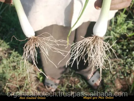 Bacterial organic liquid fertilizer for apples cultivation price in Indian companies