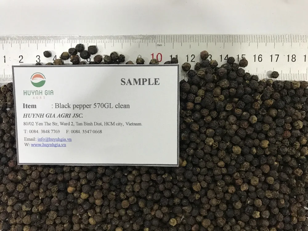 Vietnam Manufacturer High Quality Raw Processing Clean Dried Black Pepper 570 GL With 2 Years Shelf Life