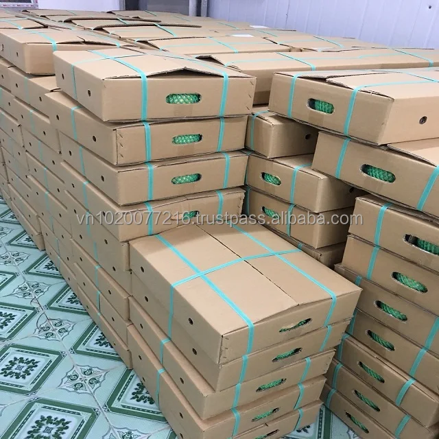 YOUNG VIETNAM COCONUT