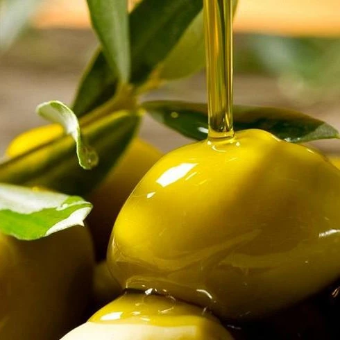 Зеленые оливки оптом