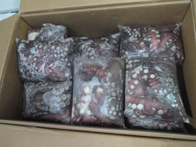 Необработанный замороженный Полный Круглый Осьминог (вытянутый)-страна-Чили