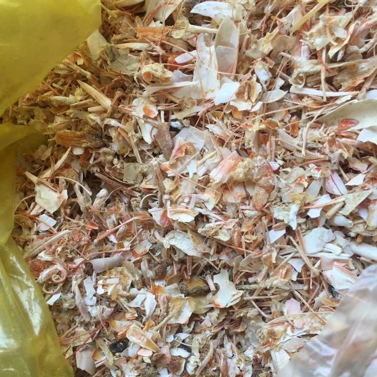 Dried shrimp shell / Shrimp shell from Vietnam