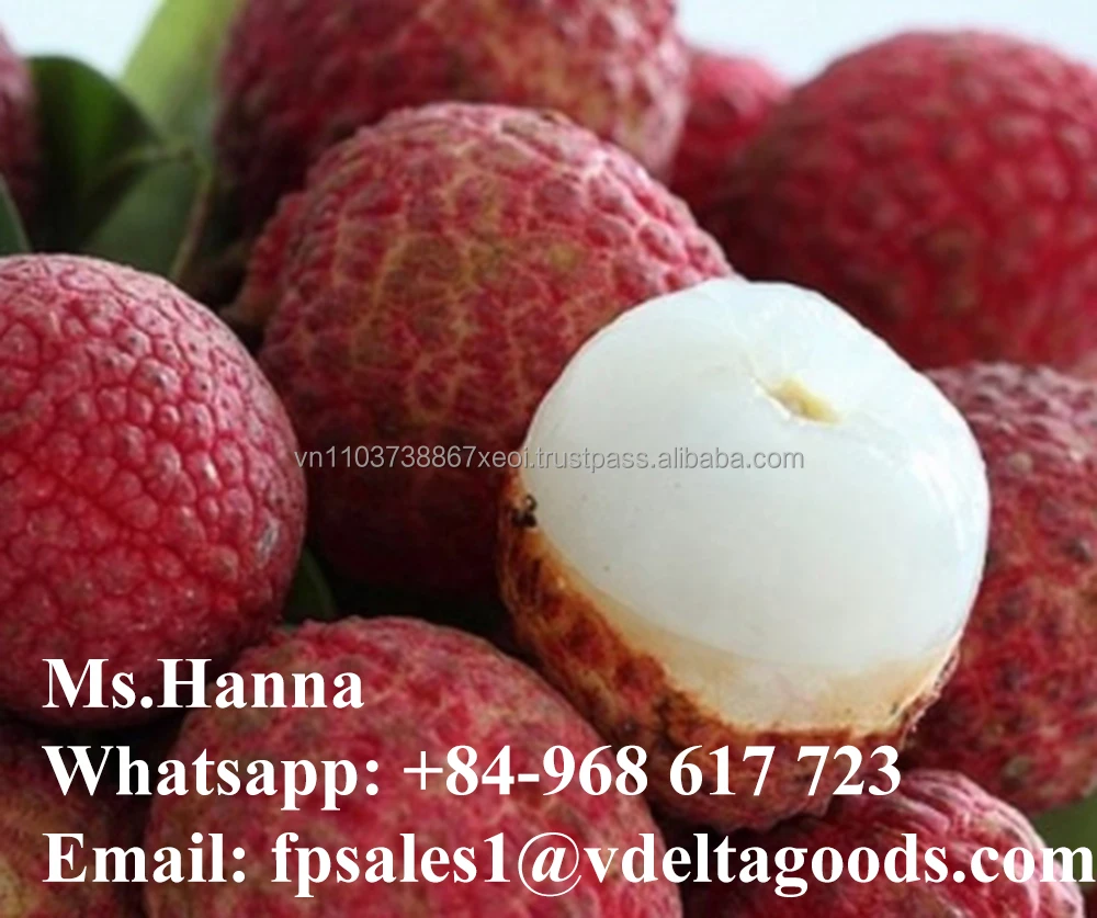 High Quality Canned Lychee / Litchi / Lichee In Vietnam in 2020 / Whatsapp +84 845639639
