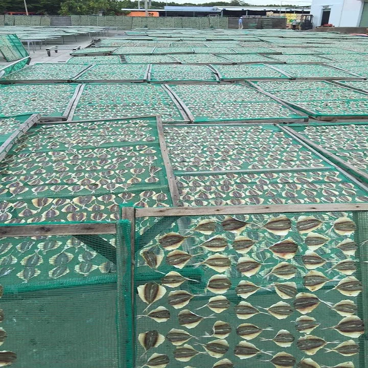 
Dried yellow stripe trevally fish 