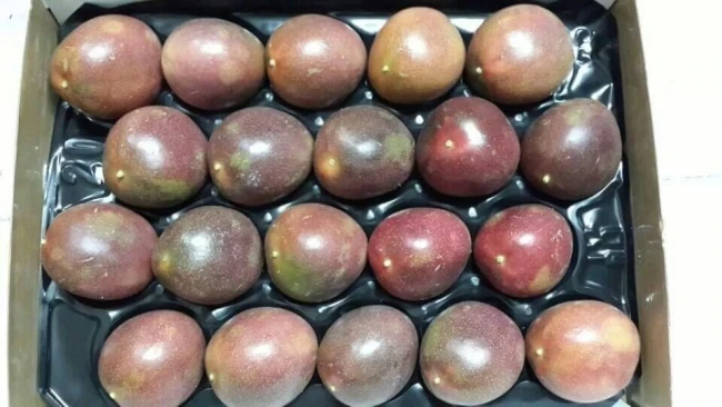 Свежий фрукт страсти-высокое качество и Лучшая цена