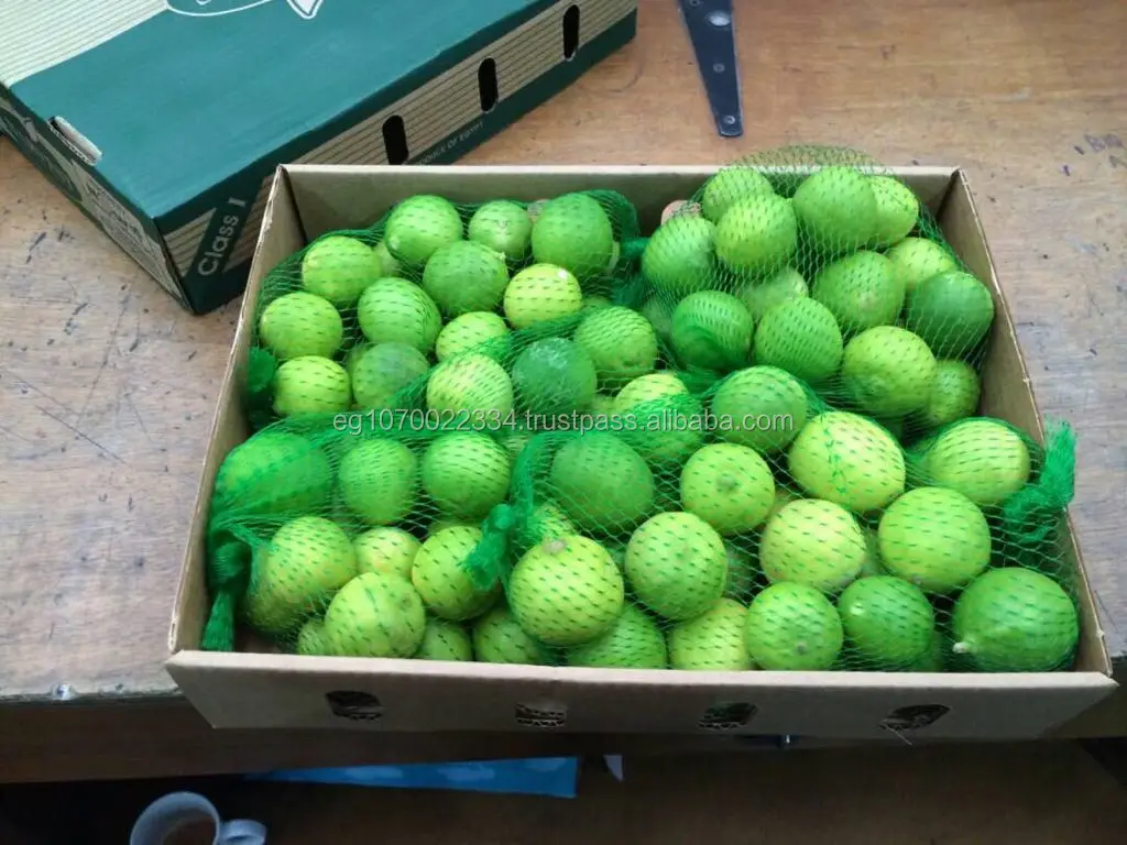 Fresh seedless lime to Thailand