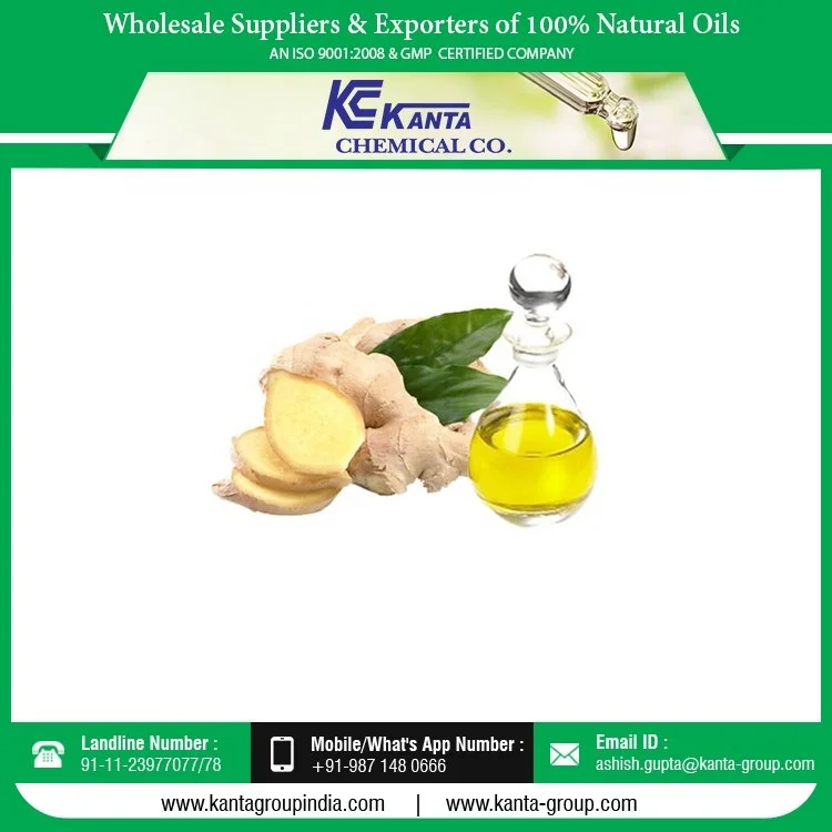 
100% Natural Ginger Oil at Lowest Price 
