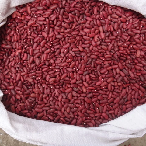 
Red Kidney Beans 