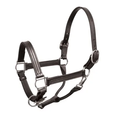 Регулируемая лошадиная кожа Halter производитель индия