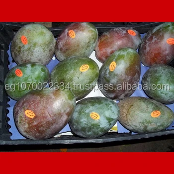 EGYPT MANGO PRICE , EGYPTIAN MANGO