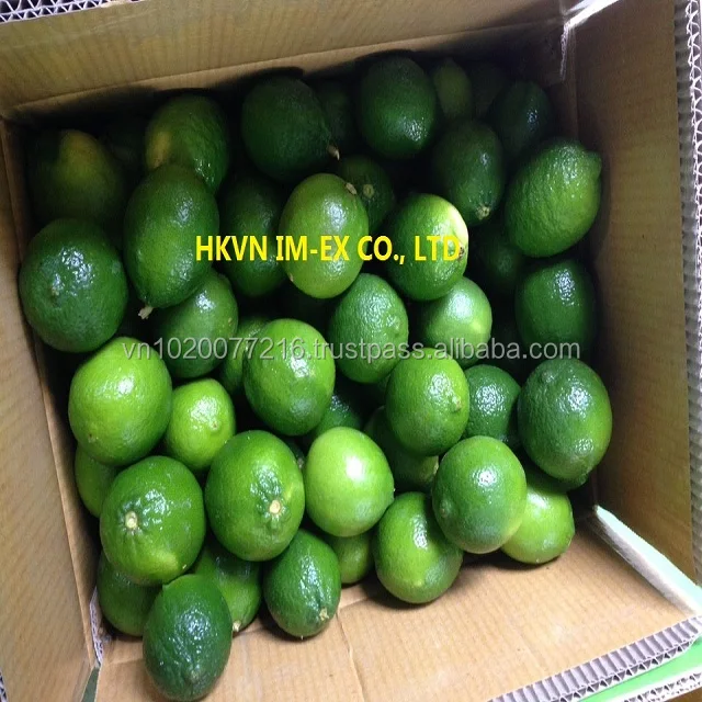 Green lemon/ Fresh lemon seedless/ fresh fuit hight quality