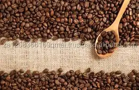 
Hot Selling Arabica Green Coffee Beans 