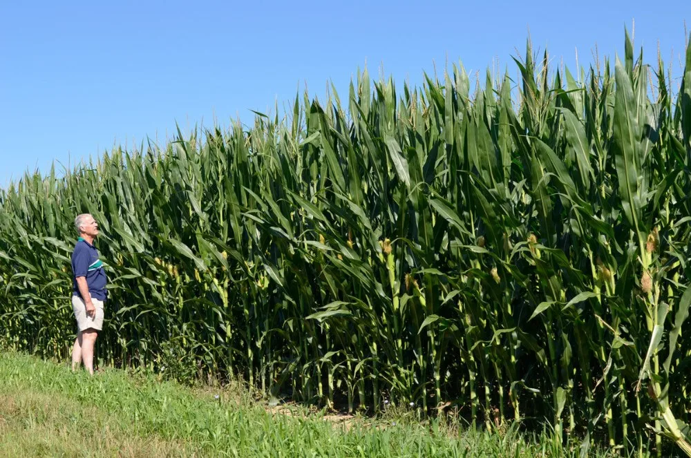 
OEM/ODM Drop Seeder Precision Seeder For Small Seed 