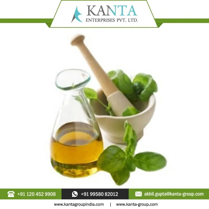 100% Natural Antioxidant Antifungal and Anti-inflammatory properties Oregano Essential Oil Wholesale Price